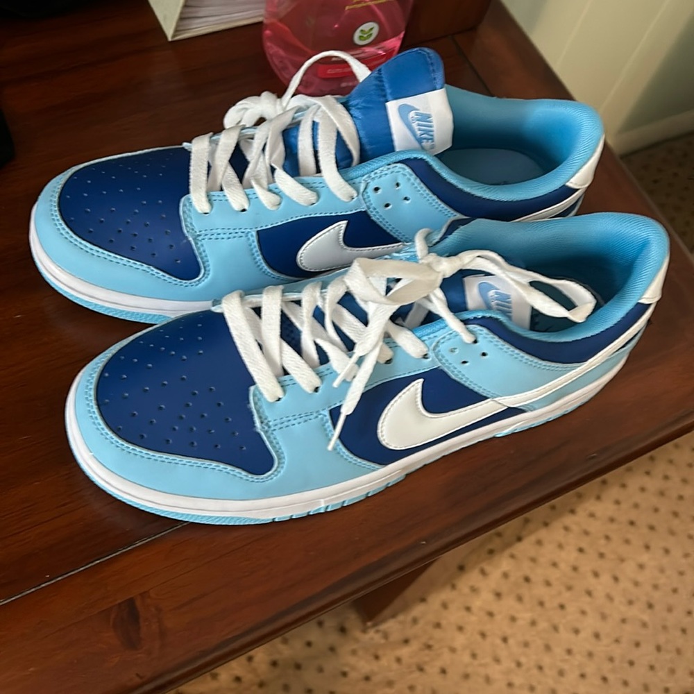 Men’s Nike dunks Sb “Argon” size 9.5